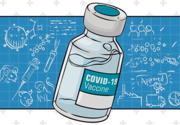 Covid-19 Vaccination Facts